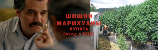 стафф Белокуриха