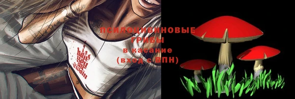 твердый Баксан