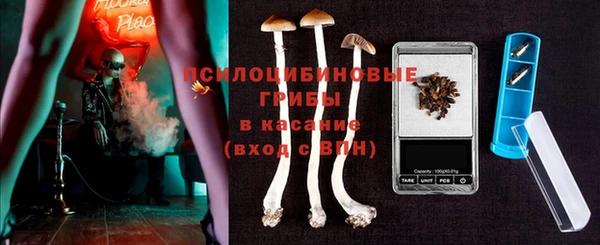 ГАЛЛЮЦИНОГЕННЫЕ ГРИБЫ Беломорск