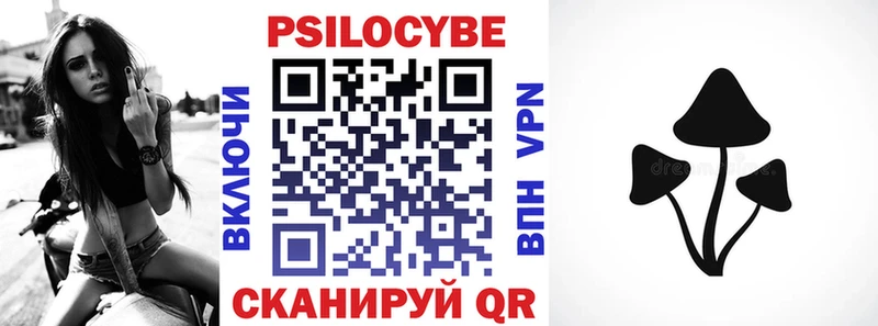 kraken ссылки  Колпашево  Псилоцибиновые грибы мицелий 